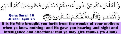 Surah 16, Al Nahl, Ayah 78