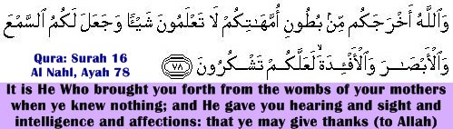 Surah 16, Al Nahl, Ayah 78