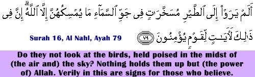 Surah 16, Al Nahl, Ayah 79