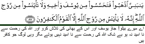 Quran, 12:87